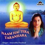 Naam Hai Tera Taranhaar - Deepali Somaiya Song Download